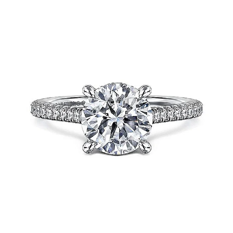 14K White Gold 'Aline' Round Diamond Hidden Halo Engagement Ring